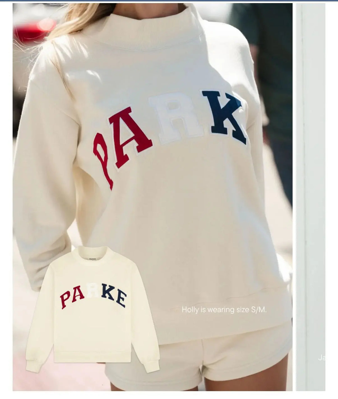 Gray printed Sweater